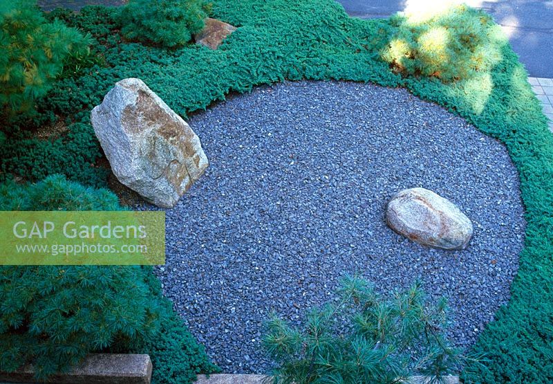 La conception d'influence japonaise de ce jardin de banlieue ombragé de Boston. Vue aérienne de petits pins encastrés dans un cercle de plantes rampantes et de gravier avec des pierres serties