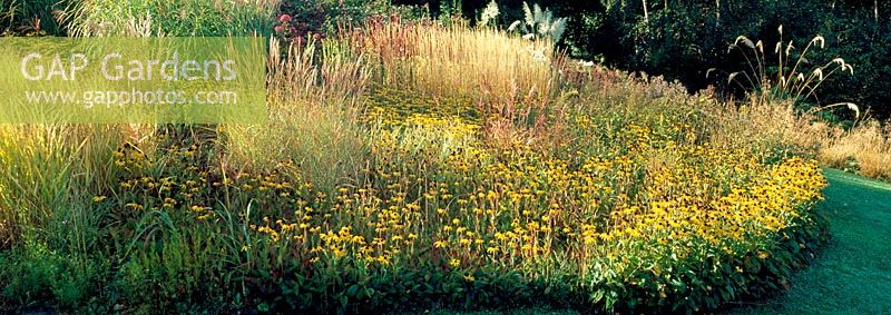 Le nouveau jardin de Prarie avec Rudbeckia fulgida var. deamii, Calamagrostis x acutiflora 'Karl Foerster', Eupatorium et Miscanthus - Lady Farm, Chelwood, Somerset