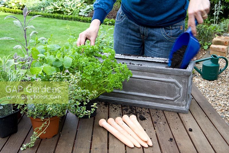Planter un pot d'herbes mixtes - Ajouter du compost