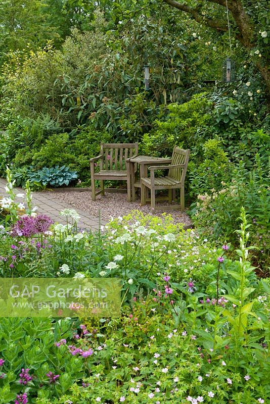 Chaises, chemin et parterres de fleurs - 20 St Stephens Avenue, St Albans, Hertfordshire NGS Garden