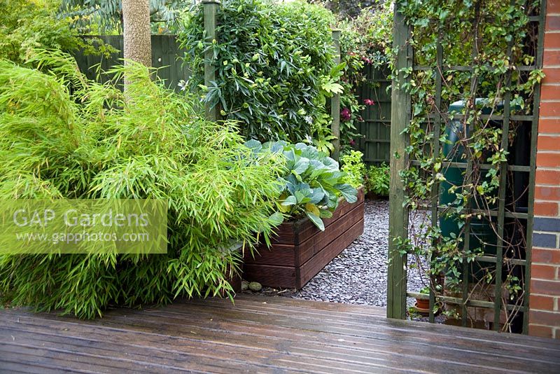Bordures de légumes surélevées et bouts d'eau filtrés de la terrasse avec du bambou et des treillis