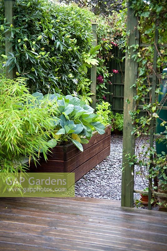 Bordures de légumes surélevées et bouts d'eau filtrés de la terrasse avec du bambou et des treillis