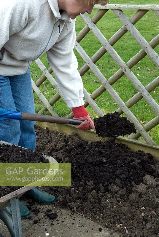 Femme ajoutant un riche compost organique à un parterre d'argile lourde fraîchement creusé