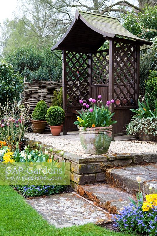 Tulipes à Little Larford Cottage, Worcestershire - Terrasse avec tonnelle en bois et tulipes en pot
