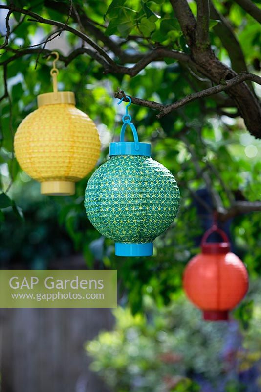 Lanternes chinoises colorées suspendues à un arbre