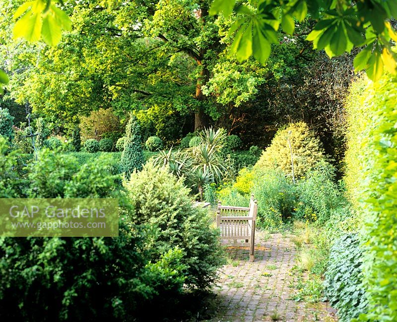 Banc en zone pavée, plantes choisies pour le feuillage et vue de couverture avec des boules topiaires - Jardin de Charlotte Molesworth, Kent