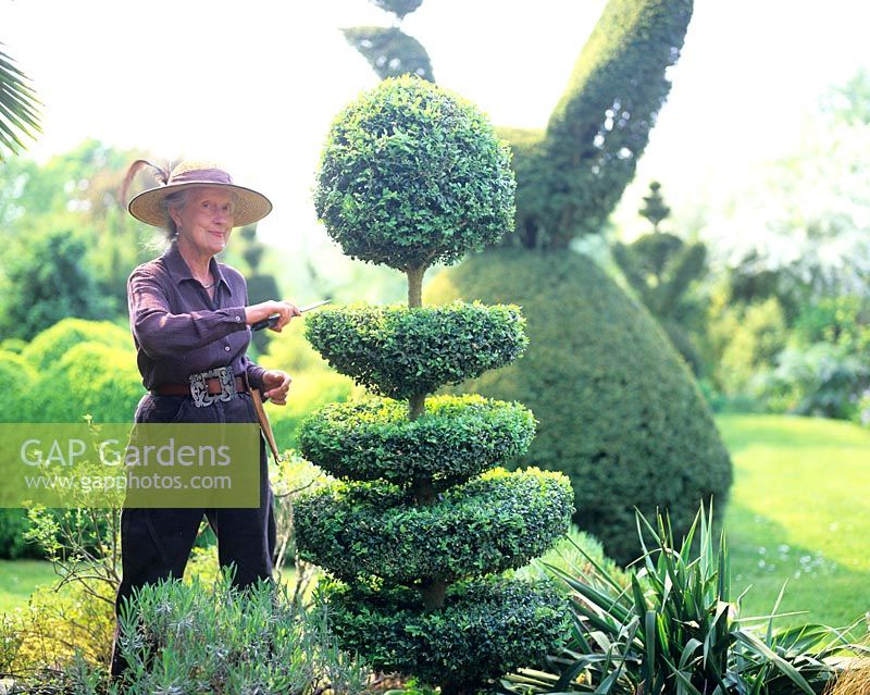 Charlotte Molesworth détourage topiaire dans son jardin, Kent
