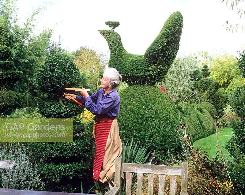 Charlotte Molesworth détourage topiaire dans son jardin, Kent
