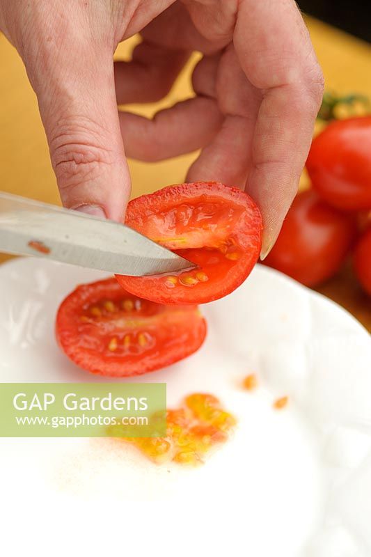 Étape par étape pour économiser les graines de tomates - Grattage des graines de tomates mûres
