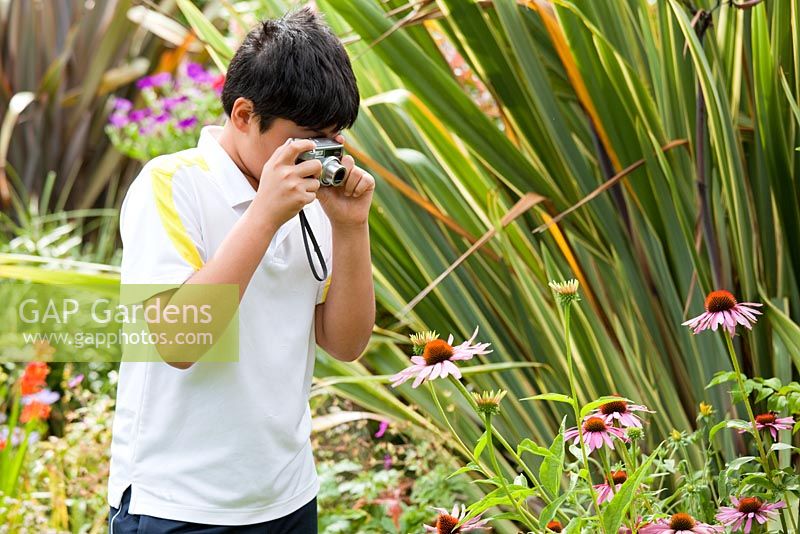 Jeune, Garçon, photographier, fleurs