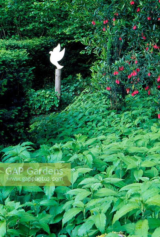 Vue sur le jardin d'Addison à Bird on Pole réalisée par Anne Wareham. Persicaria campanulata et Crinodendron hookeranum - Veddw House Garden, juin