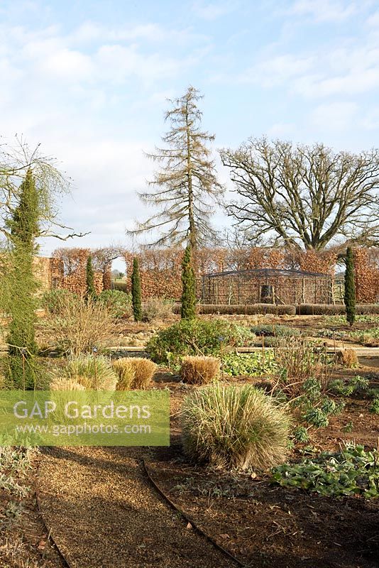 Vue sur jardin clos conçu par Tom Stuart-Smith, avec des graminées, des cyprès italiens et des passerelles de charme - Broughton Grange en février