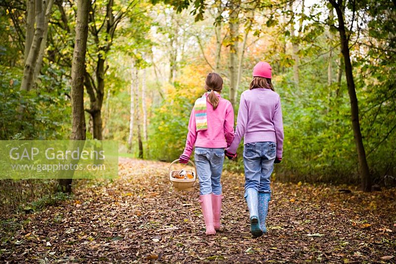 Enfants marchant dans la forêt d'automne
