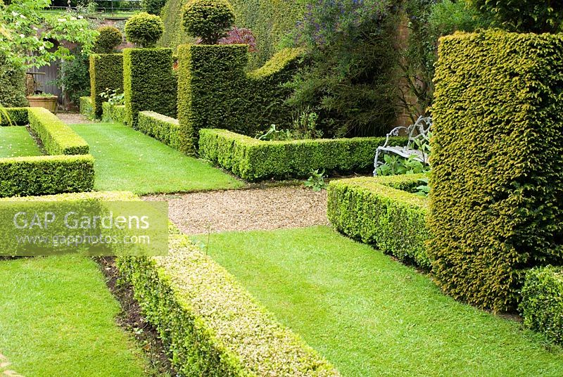Buxus - Box et Taxus baccata - Couverture topiaire d'if et contreforts avec pelouse en quartiers. Le 'petit jardin', Henbury Hall, Cheshire