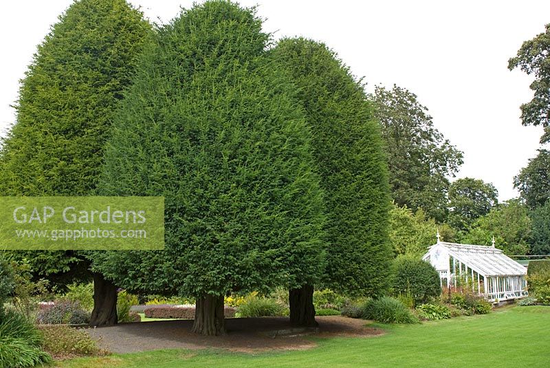 Carré du début du XVIIe siècle coupé Taxus baccata - if - arbres avec serre victorienne à Malleny Garden, Midlothisn, propriété du National Trust for Scotland