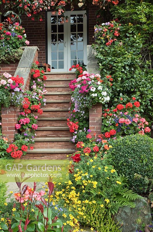 Étapes menant aux portes françaises avec des pots de pélargonium annuel dans une variété de couleurs, des paniers suspendus à la fin de l'été au début de l'automne au Four Seasons (NGS) Walsall Staffordshire