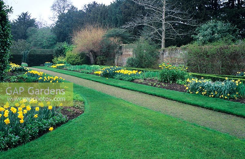 Parterre de fleurs herbacées bleues et jaunes - Fellows 'Garden, Clare College, Cambridge