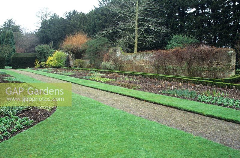 Parterre de plantes herbacées en février - Fellows 'Garden, Clare College, Cambridge