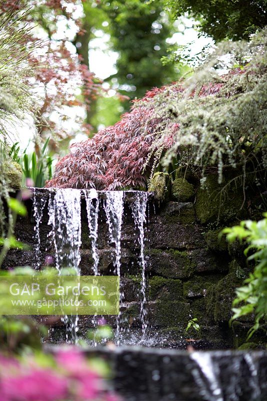 La cascade du jardin de la carrière au jardin Dorothy Clive en mai, entourée de plantations boisées, y compris Acers