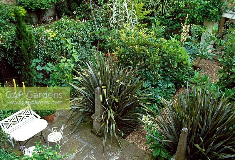 Jardin londonien principalement à feuilles persistantes avec une disposition classique d'obélisques, la plantation comprend Phormium tenax, Magnolia, Fig, Cordyline australis, Yucca, Wisteria, Cyana et Nicotiana