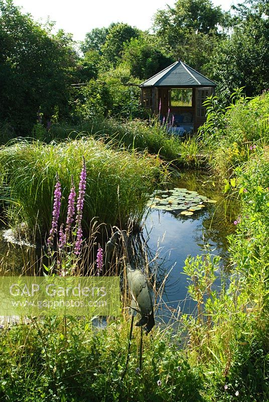 Maison d'été avec vue sur l'étang de la faune - Wild Rose Cottage, Lode, Cambridge