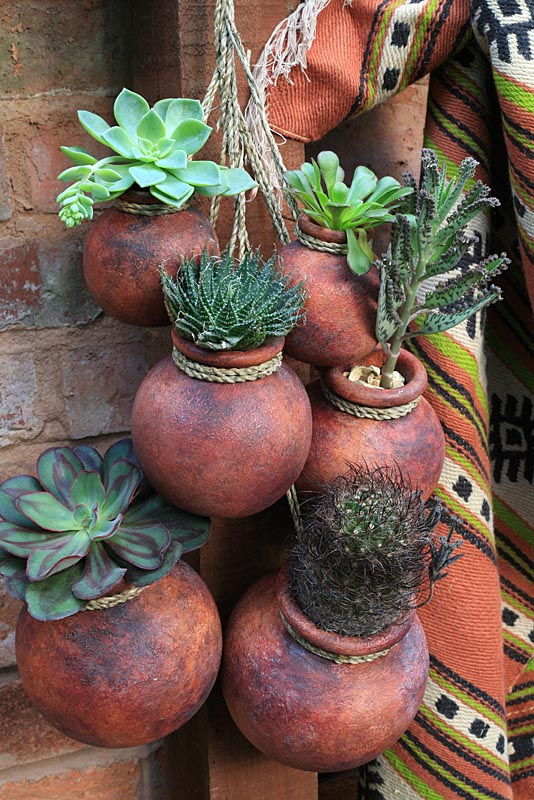 Plantes grasses résistantes à la sécheresse et cactus poussant dans des pots en terre cuite mexicains suspendus sur un mur orienté au sud