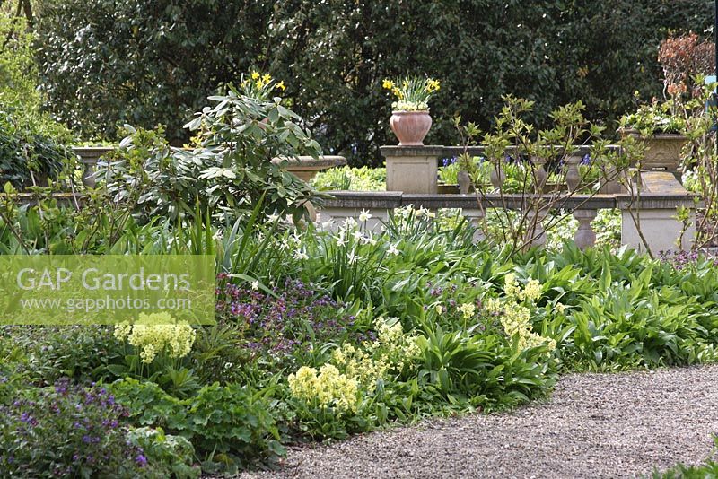 Parterres de printemps avec des primevères - Le jardin de thé est une combinaison de jardin modèle, boutique de jardin et salon de thé à Weesp