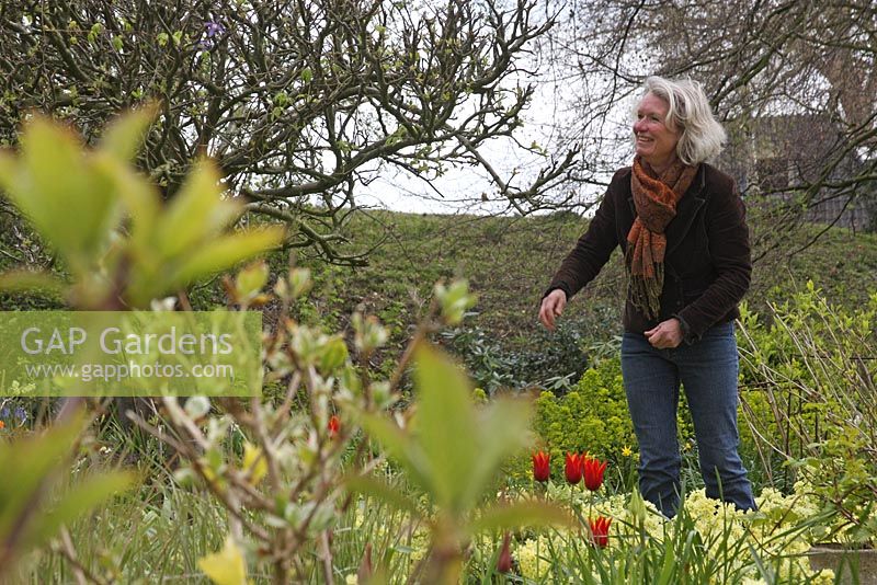 Jacqueline van der Kloet, designer et propriétaire de jardin avec Tulip 'Ballerina' et Primulas. Le teagarden est une combinaison de jardin modèle, boutique de jardin et salon de thé à Weesp