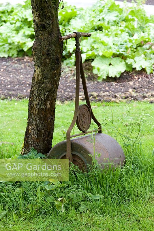 Rouleau d'herbe rouillée vintage sous l'arbre sur la pelouse
