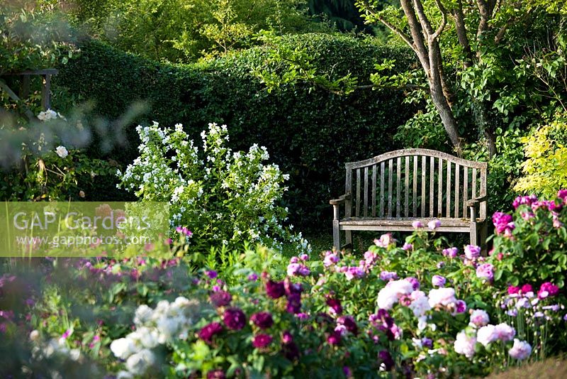 Jardin du cottage Eastgrove - Vue sur le jardin secret jusqu'au banc et Philadelphus 'Belle Etoile'