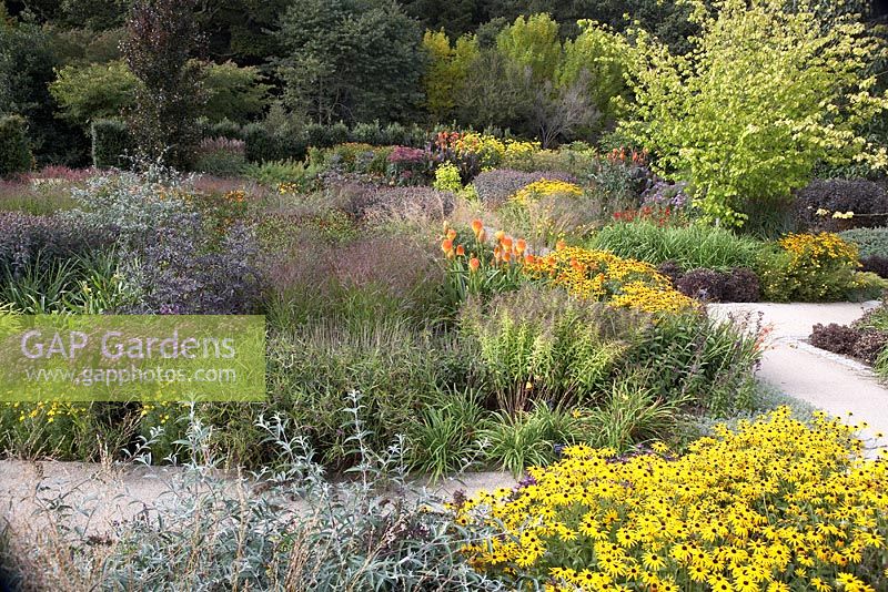 Le nouveau jardin carré à RHS Rosemoor avec Rudbeckia fulgida var. deamii, Kniphofia rooperi, Monarda 'Prarienacht', Canna 'Wyoming', Aster novi-belgii 'Checkers' et Panicum vergatum 'Rehbraun'