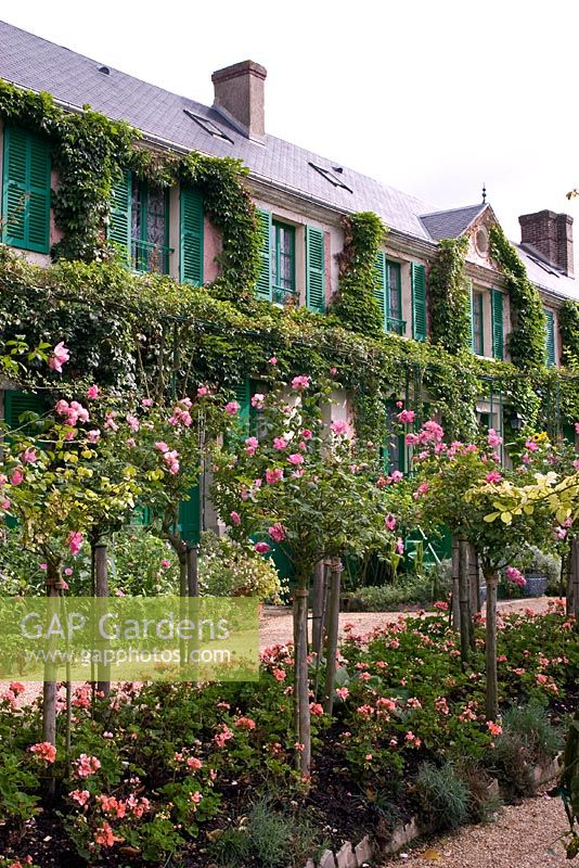 Jardin de Claude Monet, Giverny, France