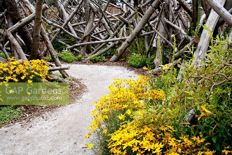 The Release Garden avec Coreopsis grandiflora et un chemin de gravier avec clôture en rondins - Future Gardens, St Albans, Herts