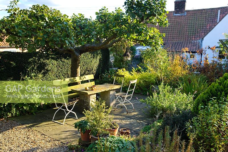 Table en pierre et salon de jardin sous le vieux pommier