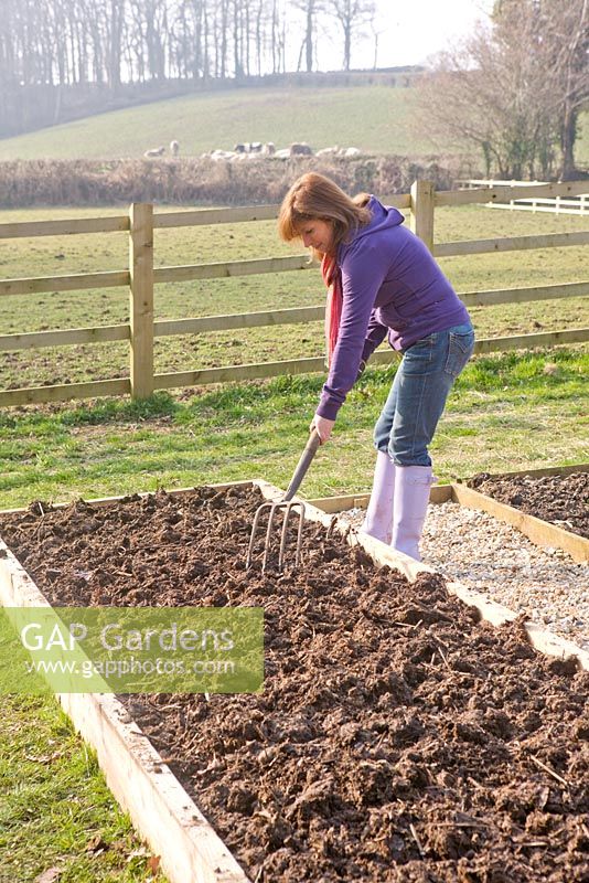 Clare Matthews répand du paillis sur des plates-bandes surélevées dans son potager