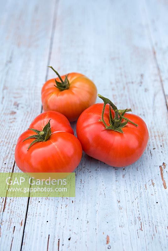 Salade de tomates françaises fraîchement cueillies 'St. Pierre'