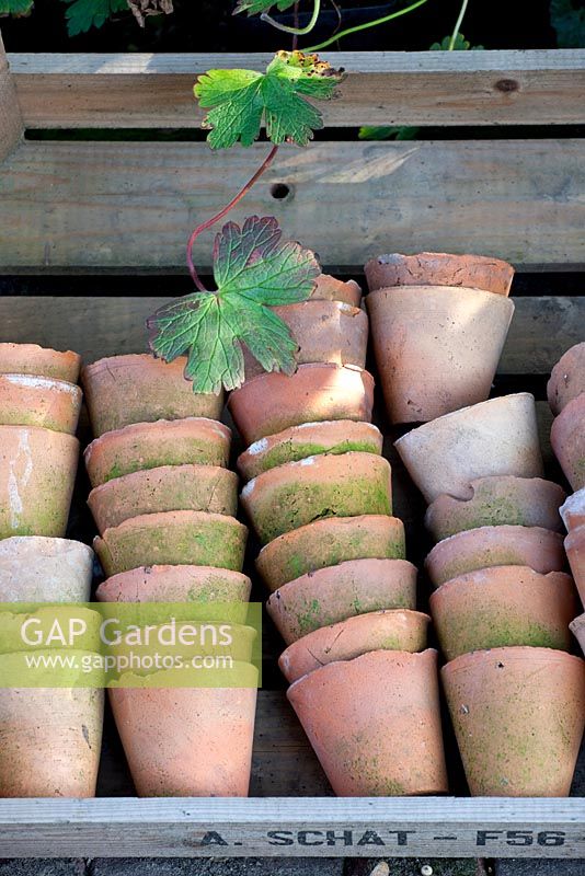 Pots en terre cuite vintage empilés dans une caisse en bois