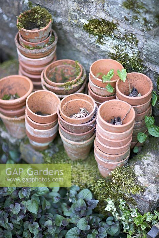 Pots en terre cuite empilés sur le rebord en pierre du mur avec des plantes rampantes et de la mousse