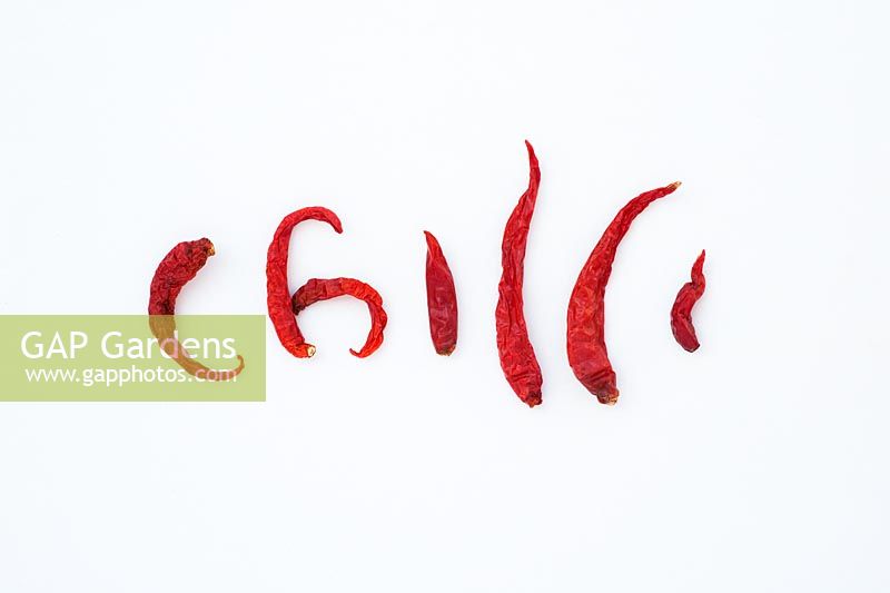 Capsicum - piment rouge séché orthographiant le piment sur fond blanc