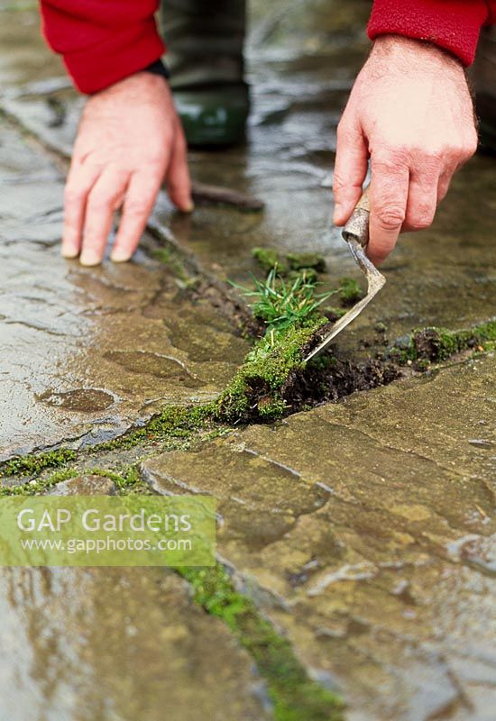 Nettoyage des chemins - Avec une truelle, retirez soigneusement les mauvaises herbes, en vous assurant d'enlever toutes les racines