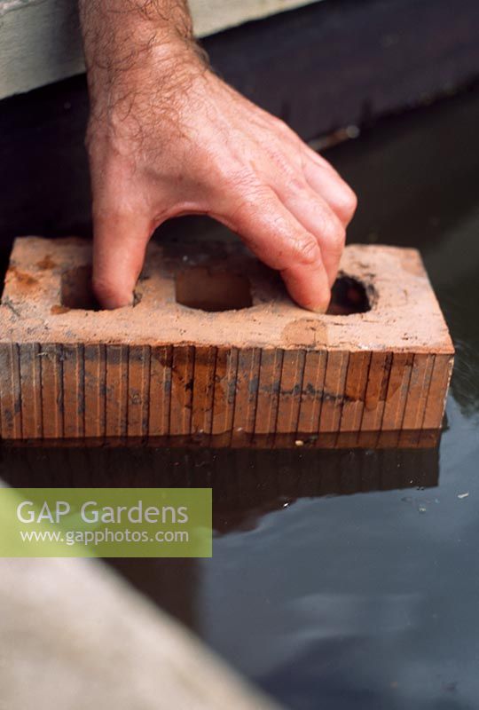 Installation d'une pompe de bassin. Étape 3. Pour vous assurer que les plantes sont placées au bon niveau dans l'étang, les briques peuvent être utilisées comme blocs ou étagères sur lesquelles les pots peuvent être placés