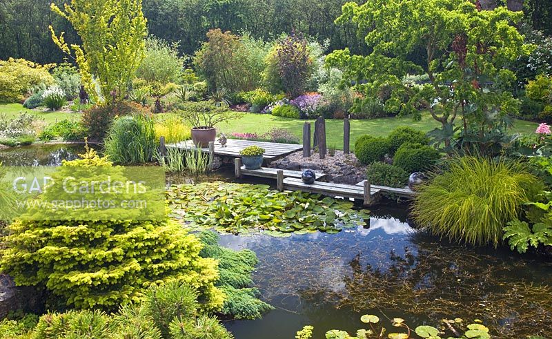 Grand étang avec terrasse en bois et pots en juin. Jardin John Massey, Ashwood (NGS) West Midlands