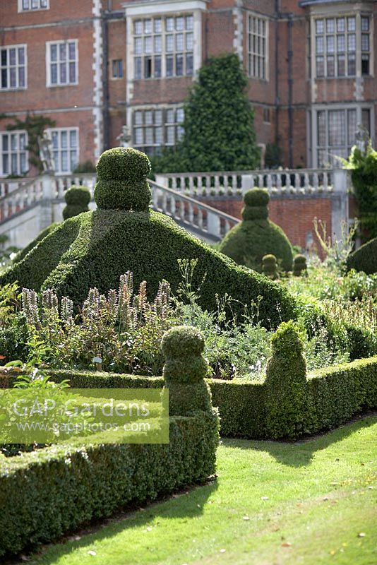Les parterres du jardin de l'Est avec des plantes herbacées vivaces, y compris Acanthus - Hatfield House, Hertfordshire