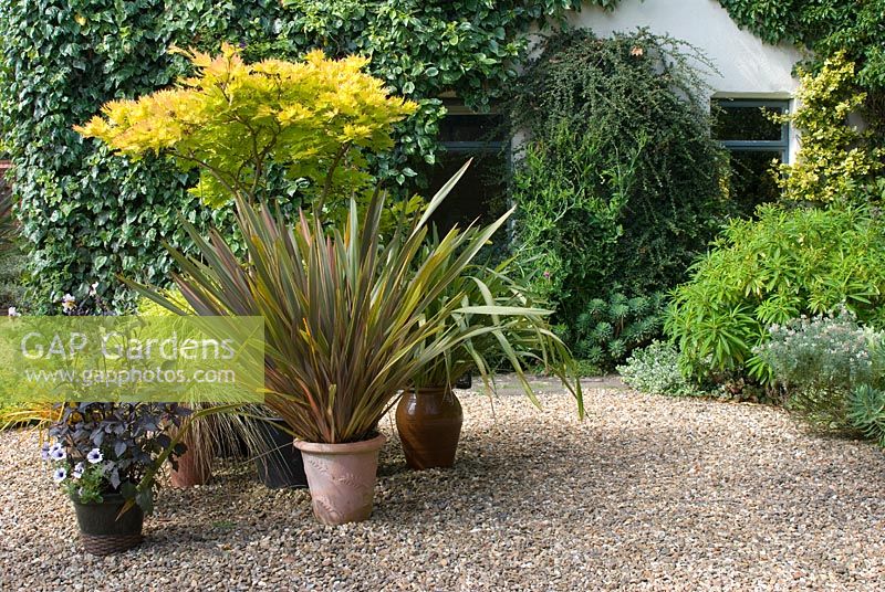 Jardin de gravier d'été avec des plantes en pot à 'Hazelwood', Jacqueline Iddon Hardy Plants, jardin NGS, Lancashire
