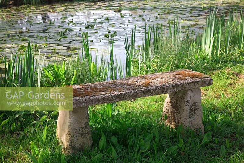 Vieux banc de pierre près de l'étang de la faune avec un feuillage d'iris émergeant - Northend