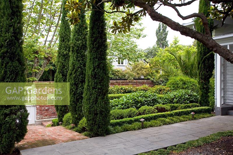 Jardin de banlieue avec parterre de Cupressus sempervirens - Cyprès italiens, et haies adoucies par Hebes et Viburnums de Nouvelle-Zélande