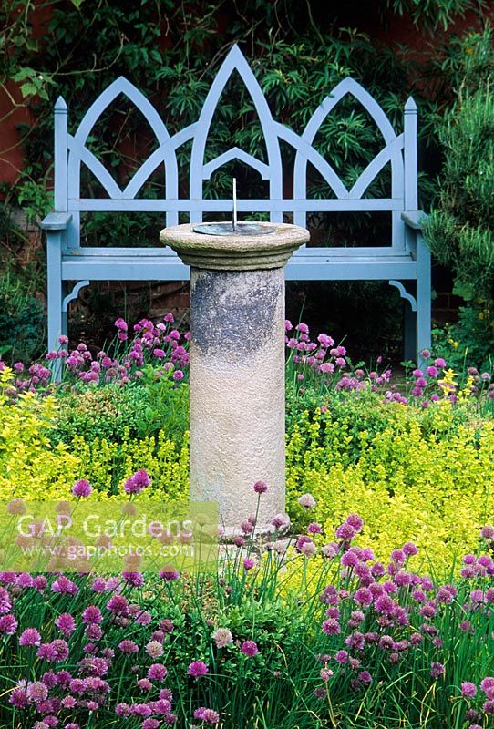Siège en bois de style gothique bleu et cadran solaire en pierre entouré d'Origanum vulgare 'Aureum' et Allium - Ciboulette