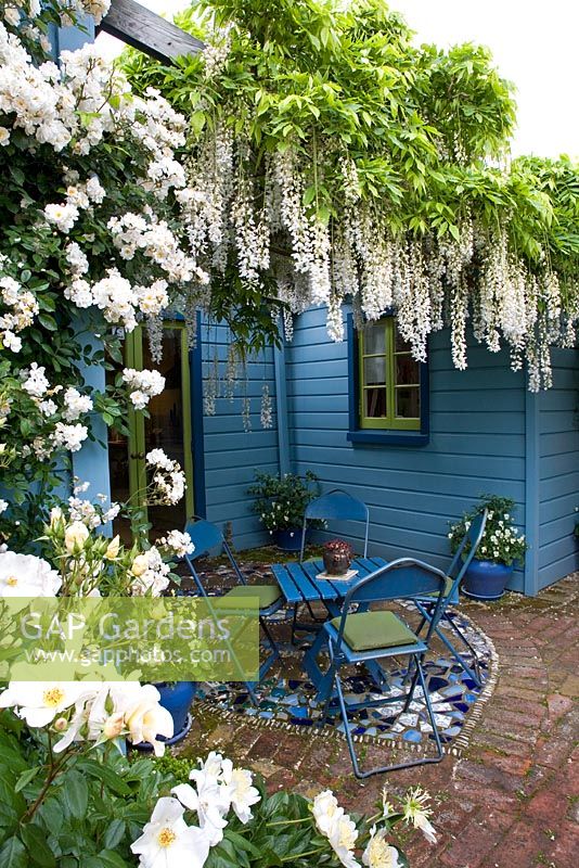 Terrasse carrelée en mosaïque dans un petit jardin avec escalade de roses et de glycines sur pergola. Maison et mobilier peints en bleu. No 11, Christchurch, Nouvelle-Zélande