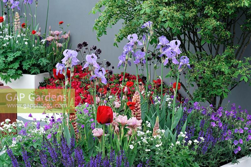 Jardin d'eau sèche contemporain, inspiré des jardins zen japonais qui représentent de beaux paysages de manière conceptuelle - The Waterless Garden, médaillé d'argent au RHS Chelsea Flower Show 2010