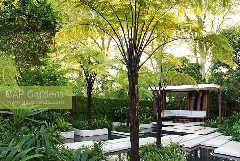 Marches au-dessus de l'eau menant au pavillon et sièges avec Cyathea latebrosa - Fougères arborescentes. The Tourism Malaysia Garden, médaillé d'or, RHS Chelsea Flower Show 2010